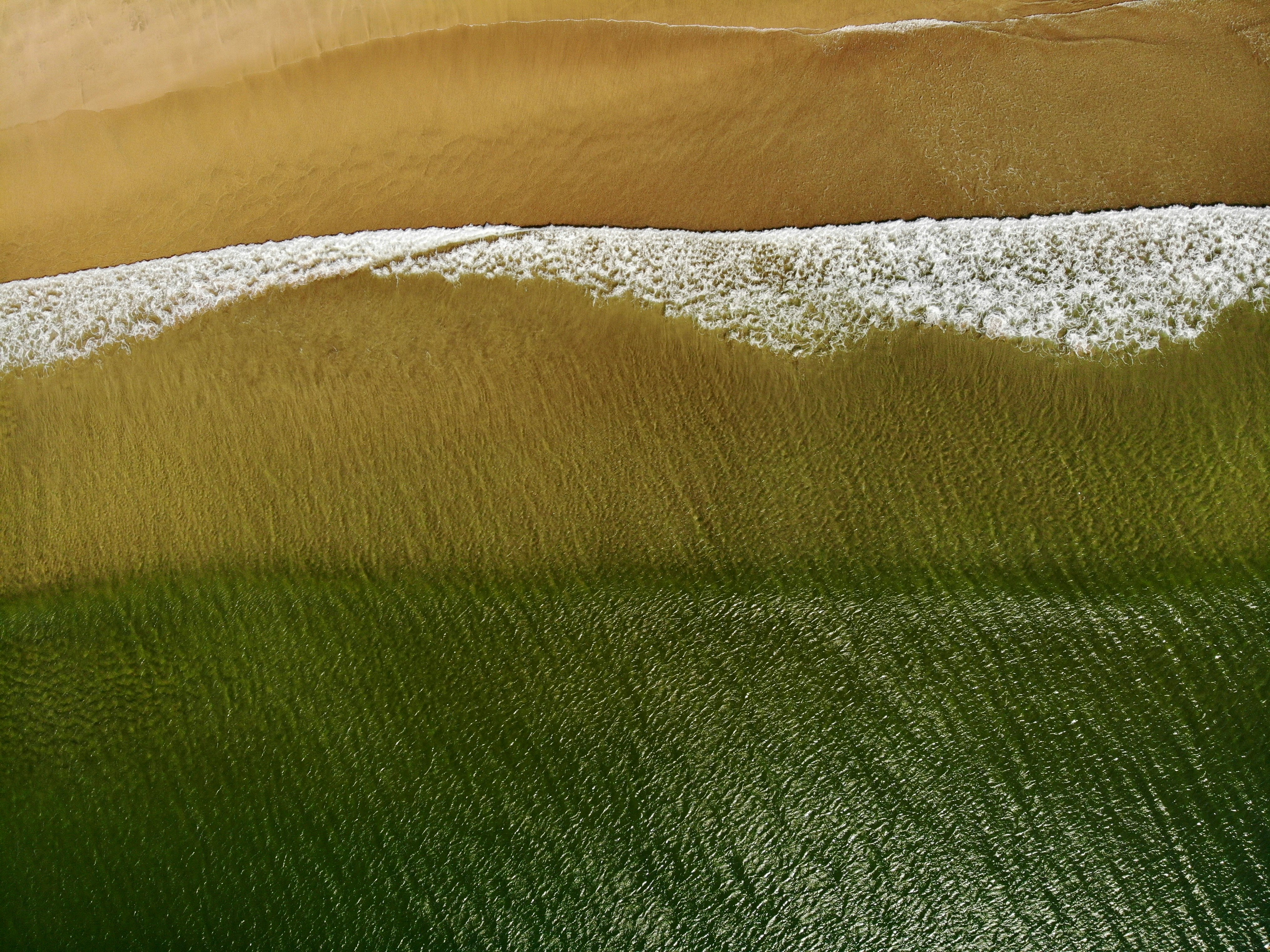 brown sand near body of water during daytime